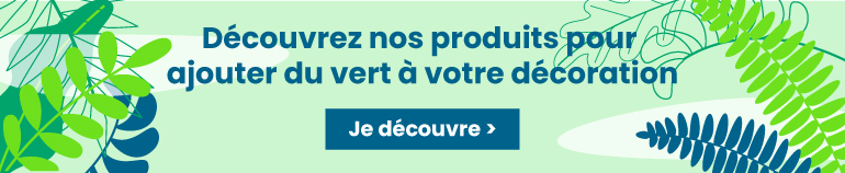 Découvrez nos produits pour ajouter du vert à votre décoration