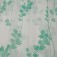 Menthe